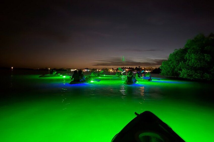 Escena nocturna con masas de agua iluminadas y un horizonte urbano lejano. 2