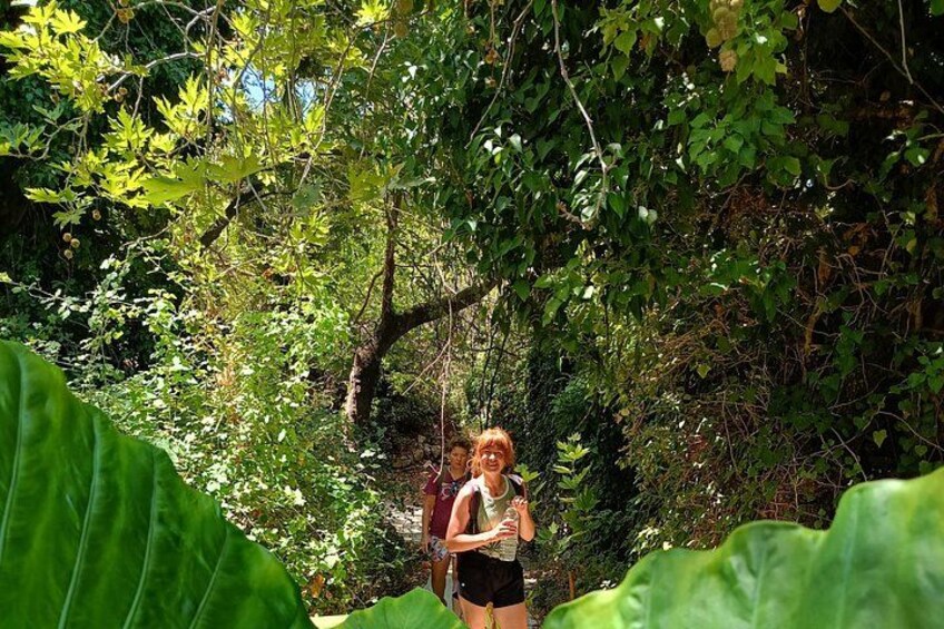 Ancient Ruins, Lush Valleys & Traditional Local Flavors, Private 4