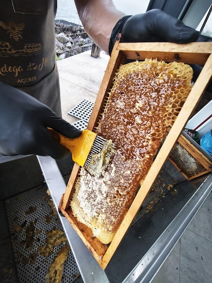 A person extracting honeycomb from a wooden frame. 2