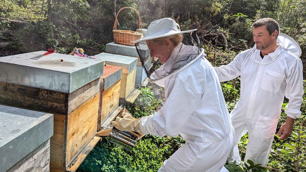 Terceira Island: Full-Day Honey, Mountains & Cheese Tour 1