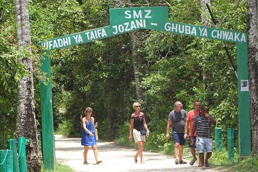Picture 1 for Activity Zanzibar: Jozani Forest & Salaam cave swim with turtles Tour 3