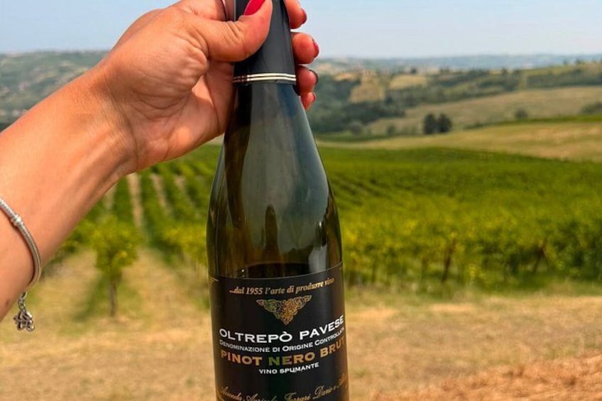 Milan Wine Escape: Wine Tasting Historic Villages & Lunch 2