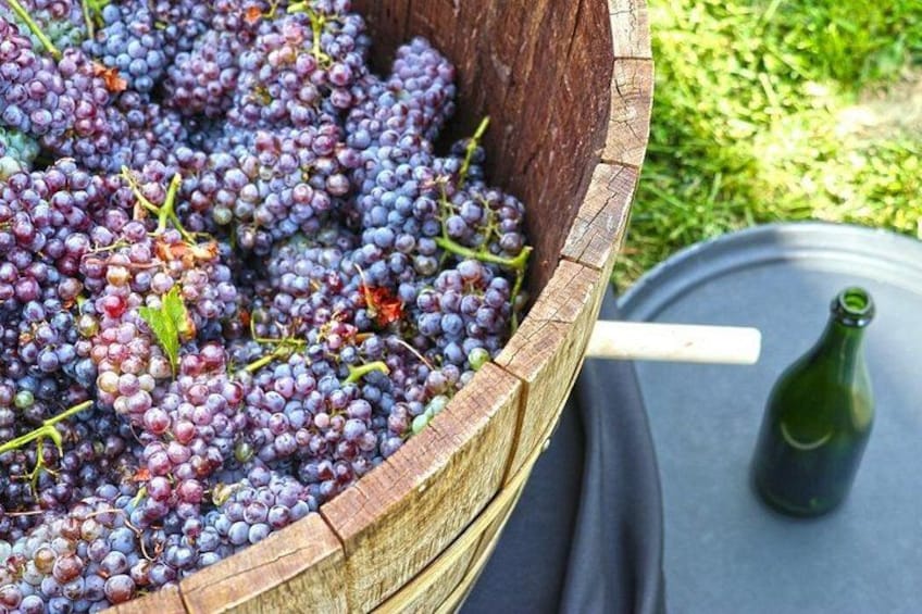 Milan Wine Escape: Wine Tasting Historic Villages & Lunch 2