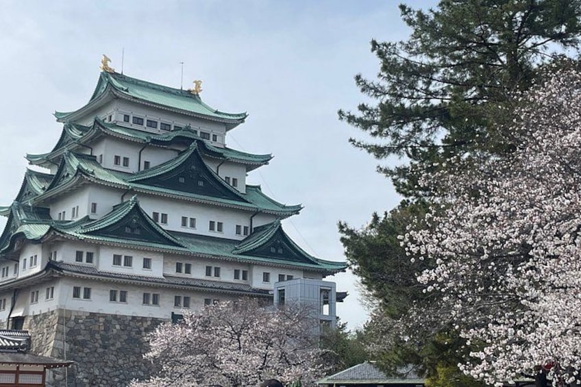 Private Nagoya Tour with a Nagoya Born Local Guide 4
