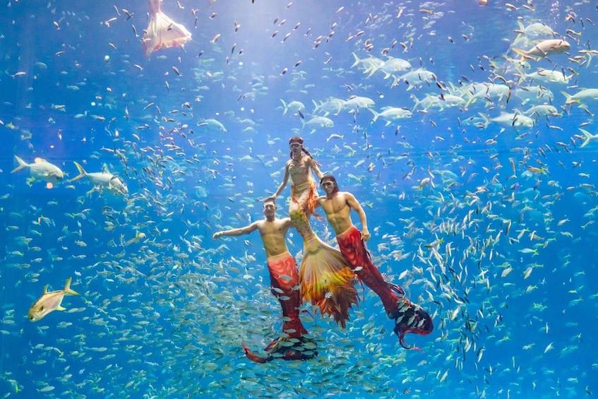 A mermaid with a human man swimming underwater surrounded by a school of fish. 4