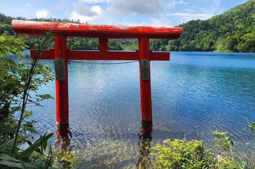Un torii rojo sobre aguas tranquilas, con una colina boscosa al fondo. 1