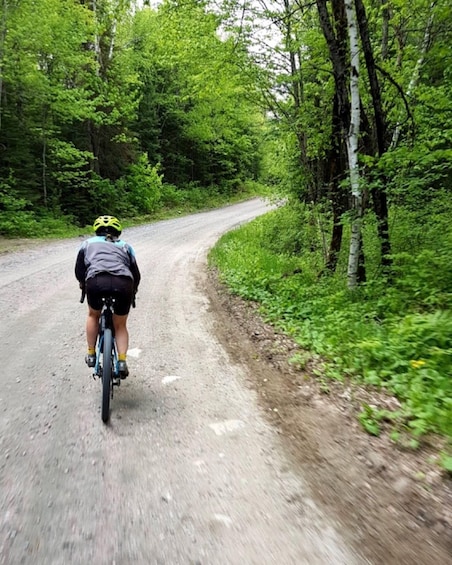 A cyclist on a gravel road surrounded by dense green forest. 3