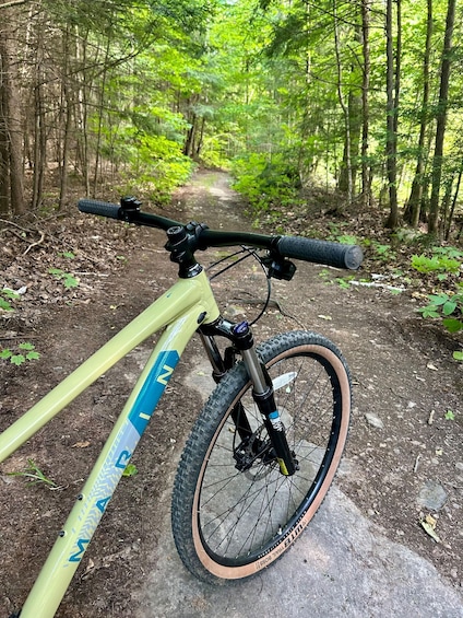 A mountain bike parked on a forest trail. 2