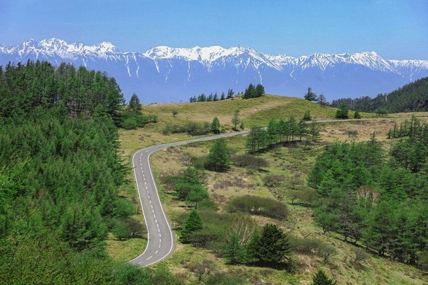 Un camino serpenteante a través de un bosque, con montañas nevadas al fondo. 1
