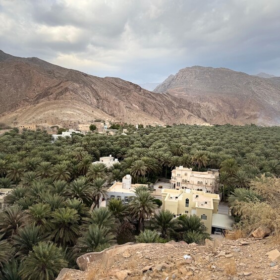 A desert village with buildings surrounded by palm trees and mountains in the background. 2