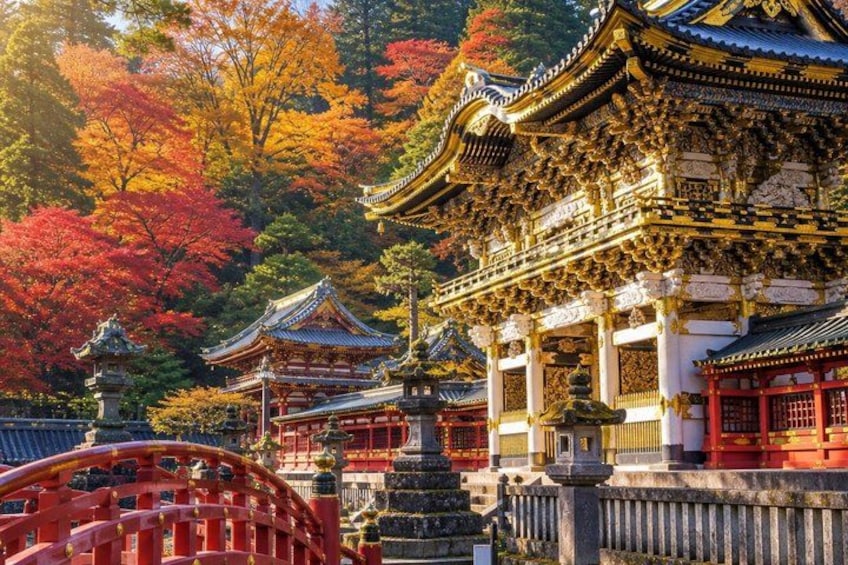 Nikko Private Tour - Temples, Nature and Hidden Gems 1