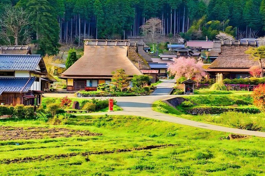 Miyama Village, Amanohashidate, and Ine Funaya One-Day Tour 3
