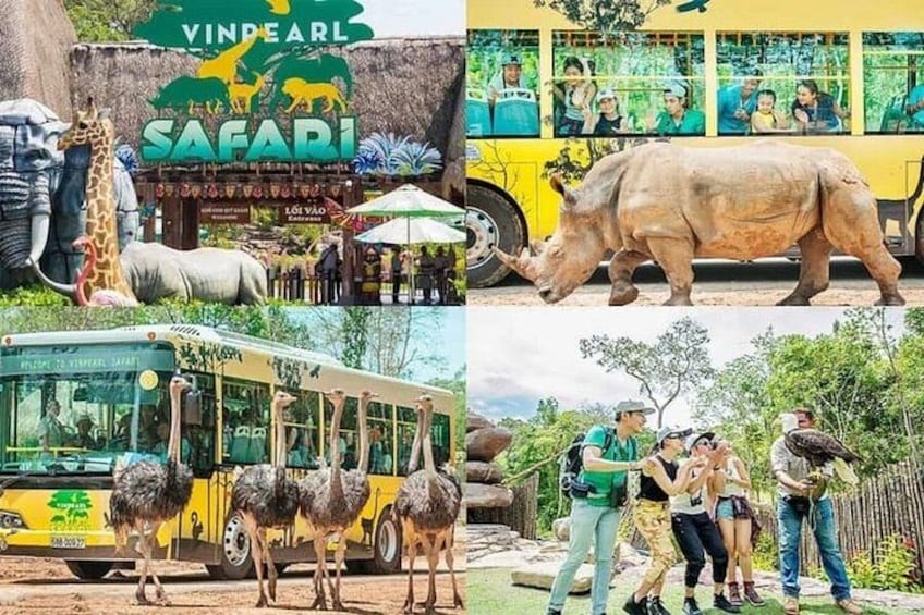 Ein Safaripark mit Nashorn, Straußen und einem Bus. 3