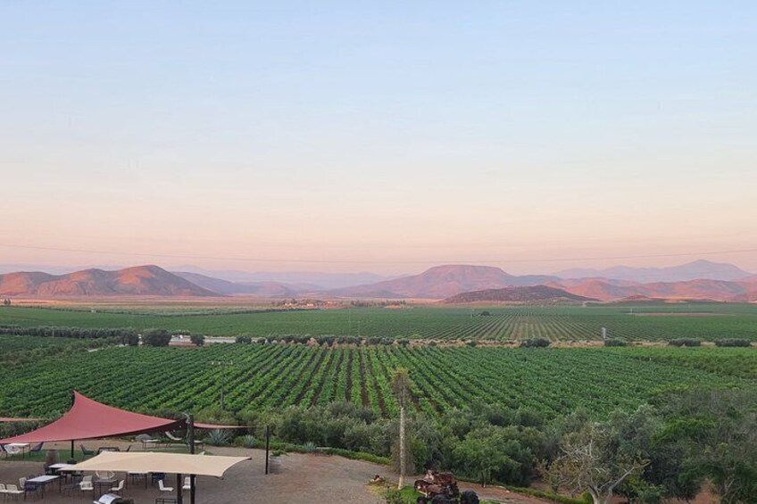 Private Vineyards Tour: Wine & Food Included 5