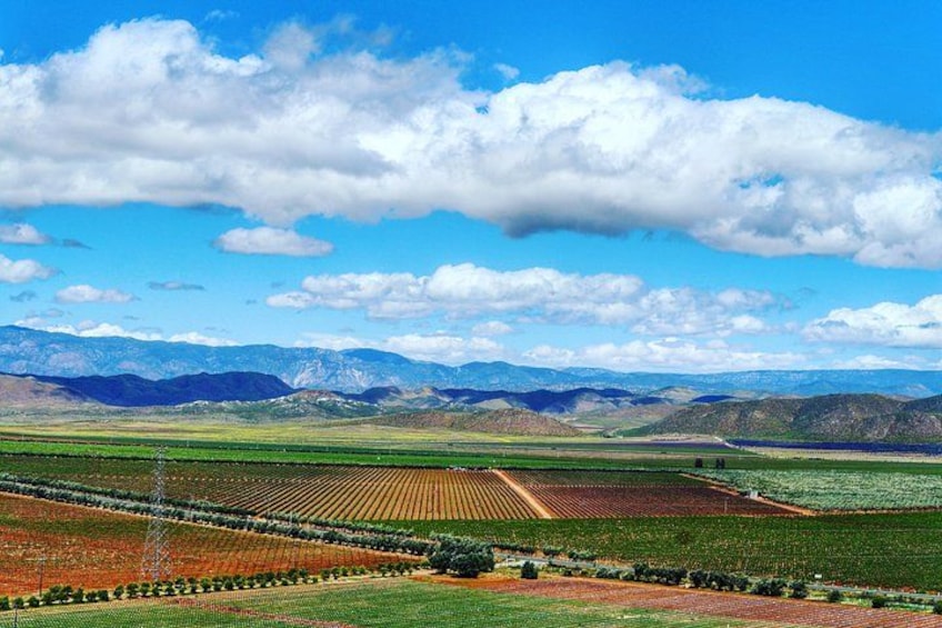 A vast agricultural landscape with fields and distant mountains under a clear sky. 1