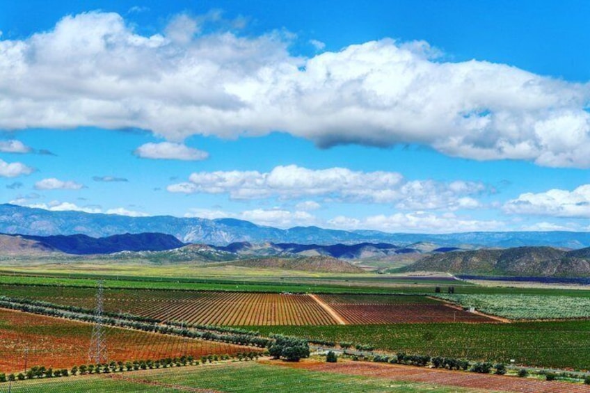 Private Vineyards Tour: Wine & Food Included 1