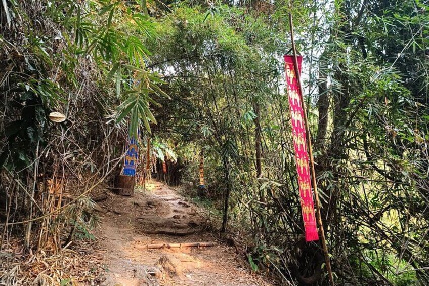 Un sentier forestier avec un panneau rouge et un panneau bleu. 2
