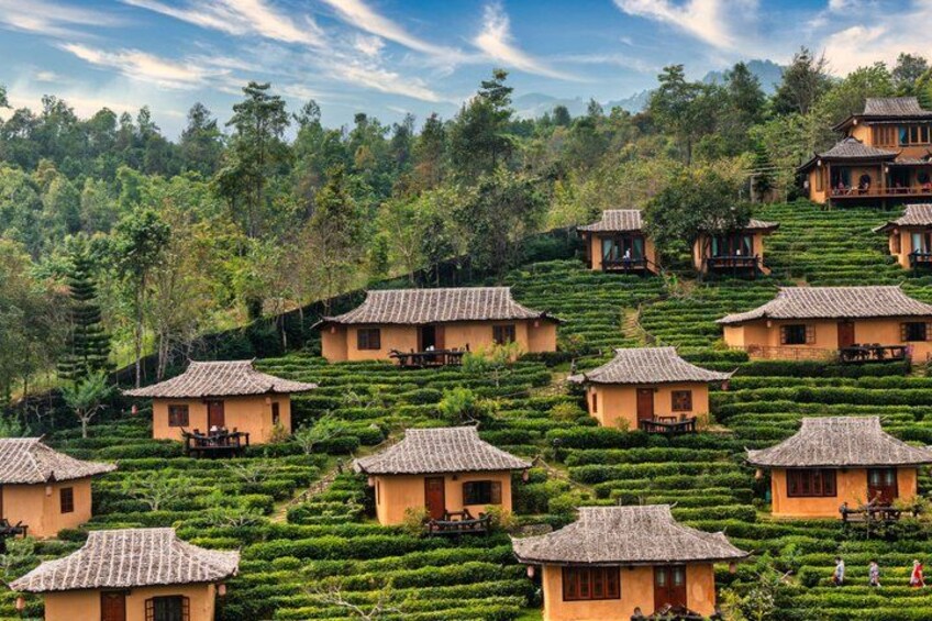 Terraced tea houses on a hillside. 4