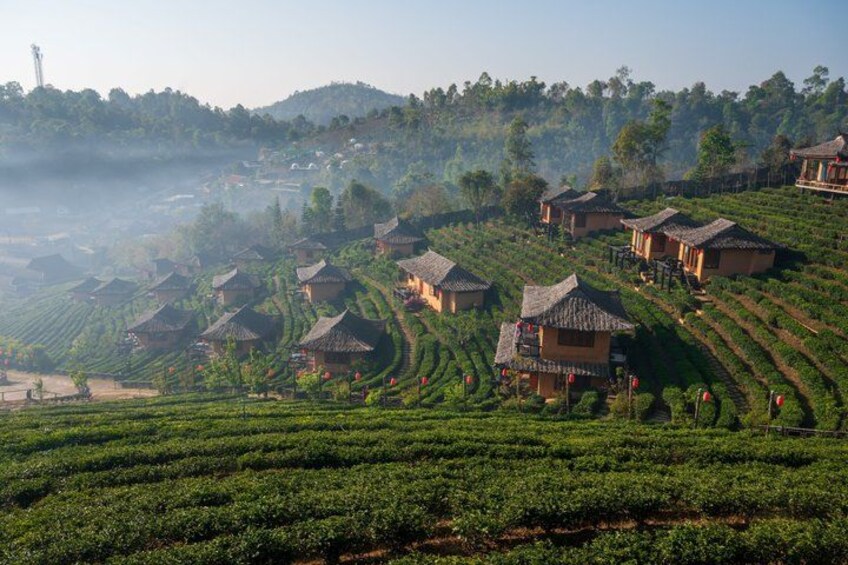 Terraced tea plantations, traditional houses, and a misty landscape. 2