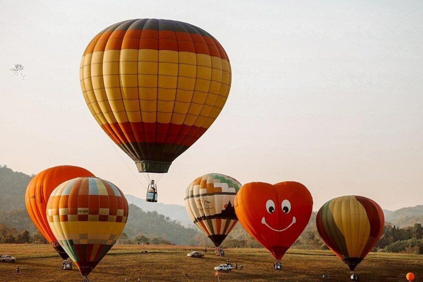 A field of hot air balloons with various designs and patterns, including a heart-shaped balloon. 1