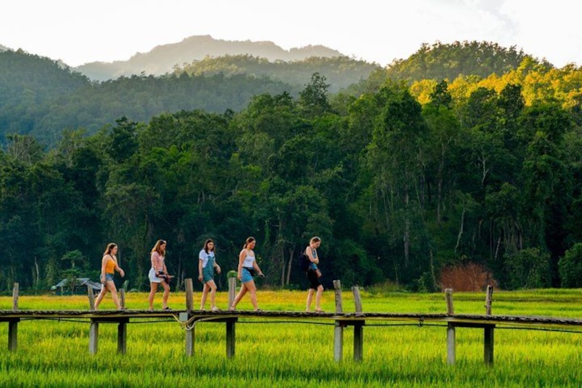 Pai Canyon and Bamboo Bridge Private Day Trip from Chiang Mai 1