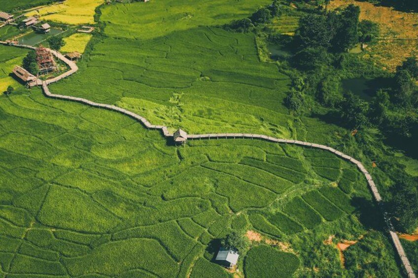 Pai Canyon and Bamboo Bridge Private Day Trip from Chiang Mai 5