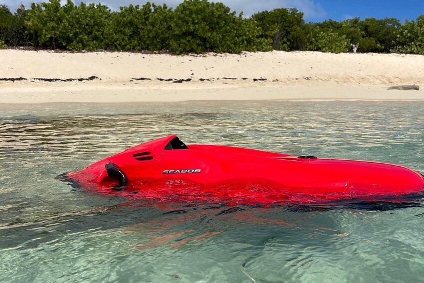 All inclusive Private Tour to Icacos and Palomino Island 3