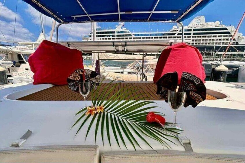 A yacht deck with red cushions, a glass of drink, and a palm plant. 4