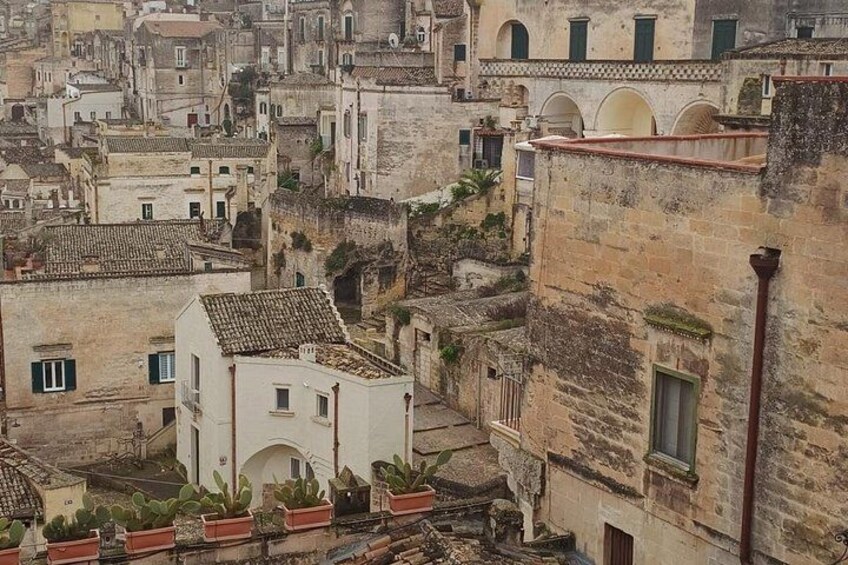 Full-day tour of Matera and Altamura by bus from Bari 3