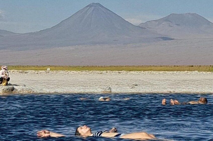 Half-Day Tour to Laguna Cejar 1