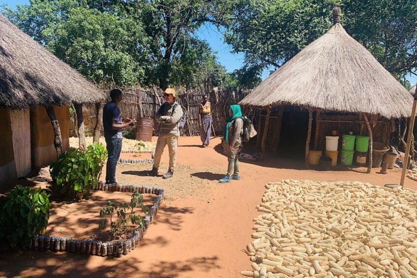 Livingstone Tour to Mukuni Village by 4WD 2