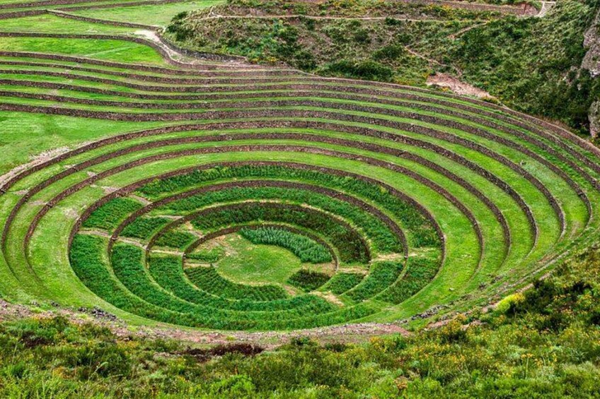 A terraced agricultural field with concentric circles of crops. 2