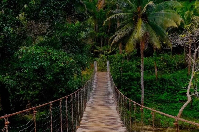 Picture 18 for Activity Bohol: Waterfall Hopping & Secret Jungle Trails Guided Tour 3