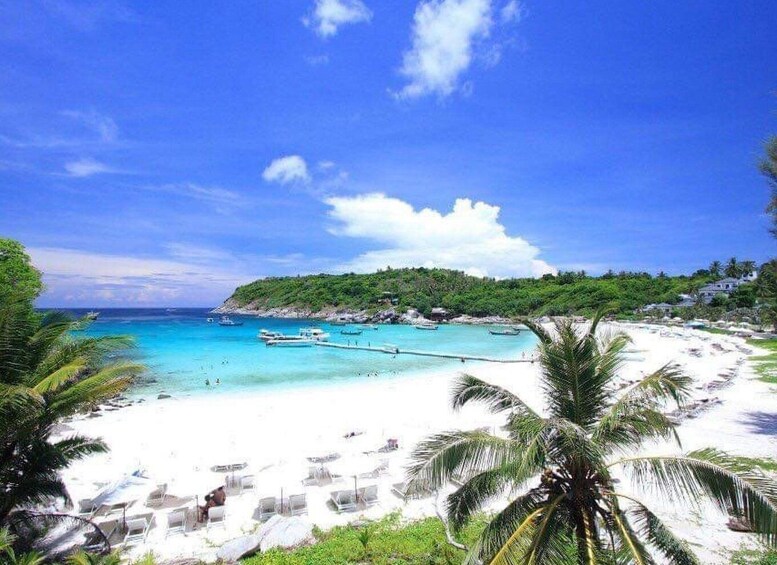 A beach with clear turquoise water, white sand, and palm trees. 3