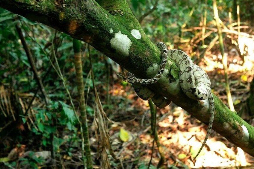 Amazon Expedition 4 Days Manu National Park 2