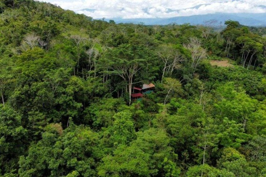 Amazon Expedition 4 Days Manu National Park 3