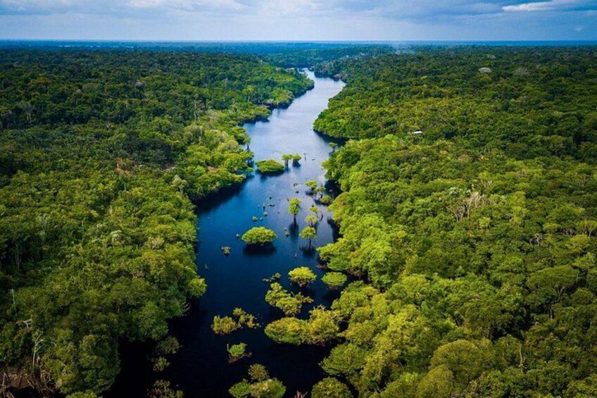 Amazon Expedition 4 Days Manu National Park 1