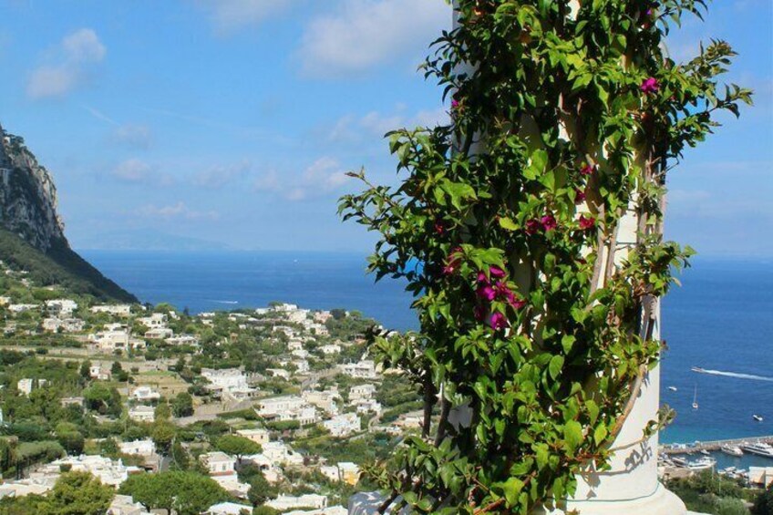 A coastal town with houses, a cliff, and the sea. 5