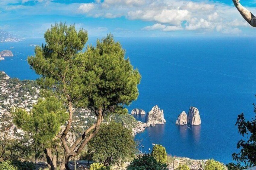 A coastal landscape with a prominent pine tree, rocky outcrops, and a view of the sea. 2