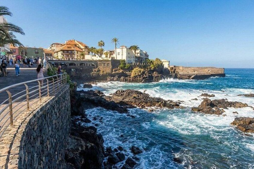 Private Guided Tour to Teide and North Tenerife 5
