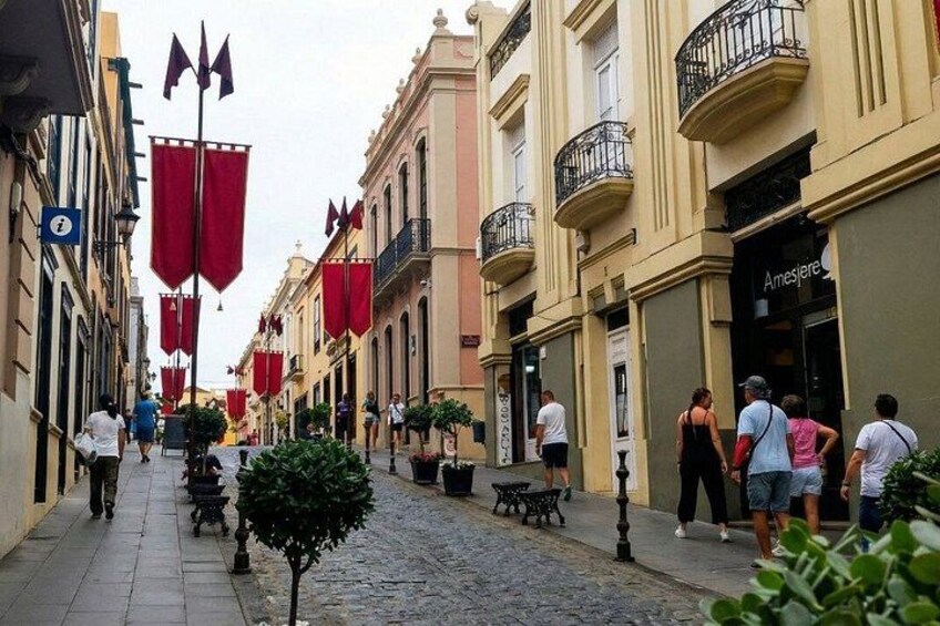 Private Guided Tour to Teide and North Tenerife 2