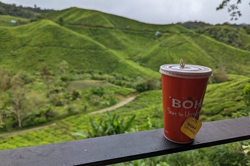 Scenic view of BOH Tea Plantation with rolling green tea hills and fresh highland air 1