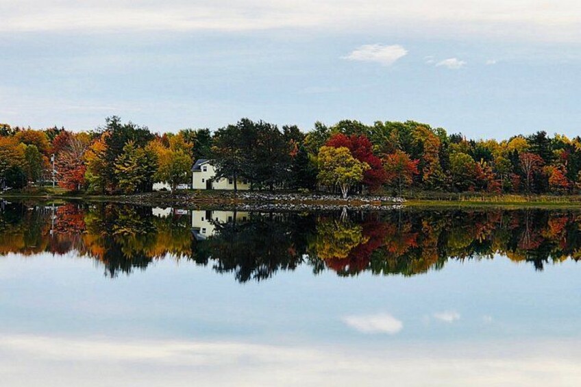 A calm lake with a reflection of trees and a house. 5