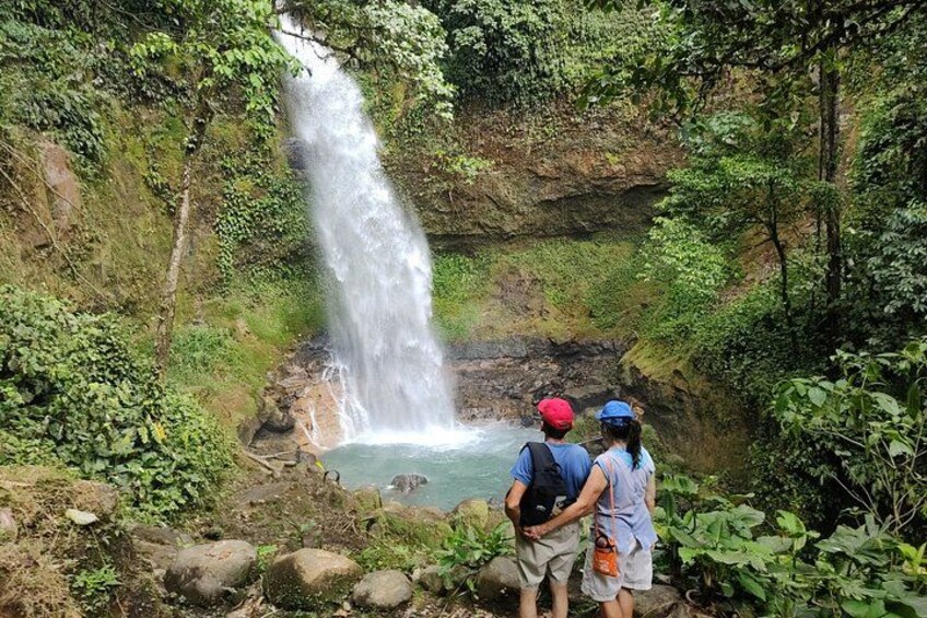 A waterfall in a forested area with two people observing it. 4