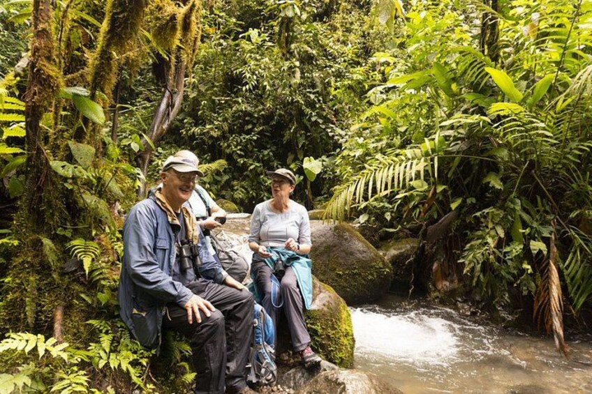 Two people sitting on a rock by a flowing stream in a lush forest. 3
