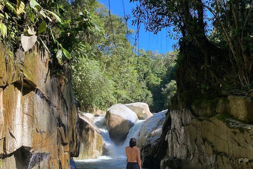 A waterfall, rocky terrain, and dense foliage. 5