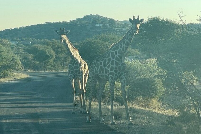 Hiking Trail - Daan Viljoen Windhoek 4