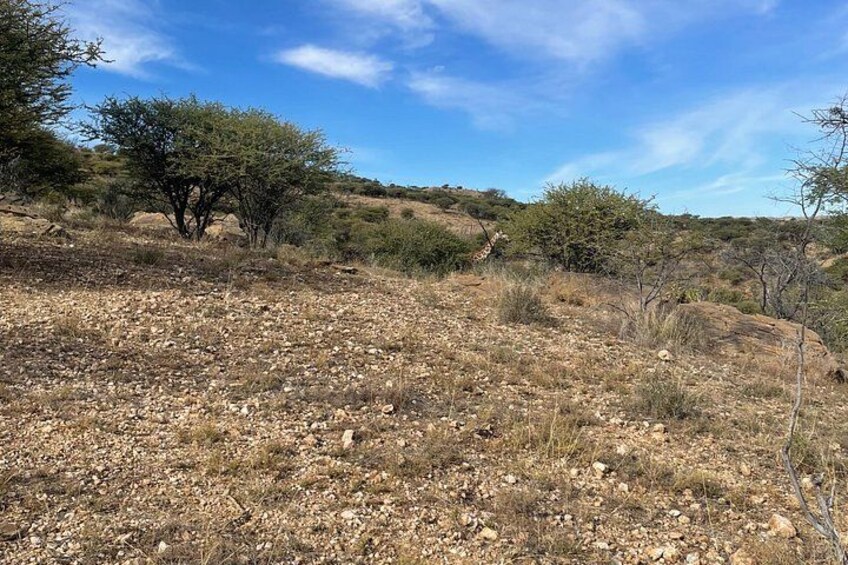 Hiking Trail - Daan Viljoen Windhoek 3