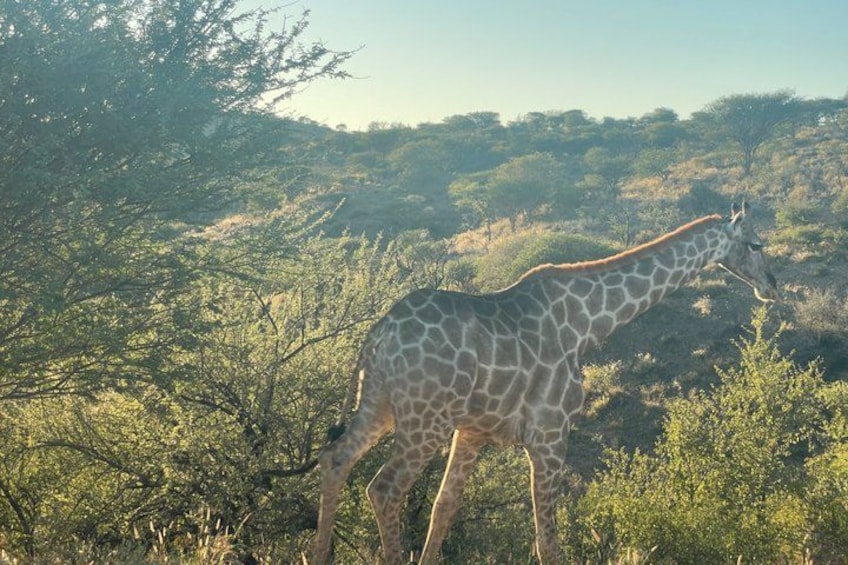 Hiking Trail - Daan Viljoen Windhoek 2