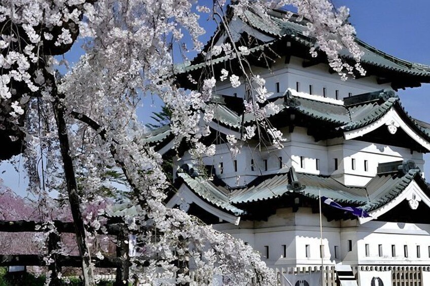 A traditional Japanese castle with multiple tiers, surrounded by cherry blossom trees. 2